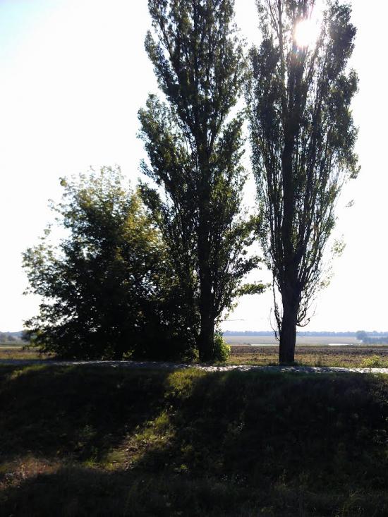 Великі Крушлинці з panoramio.com - Velyki Krushlyntsi