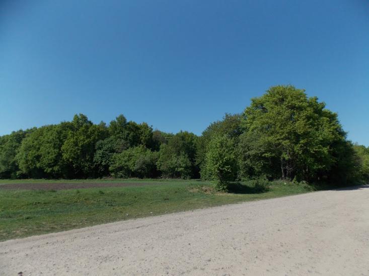 Оратів з panoramio.com - Оратів