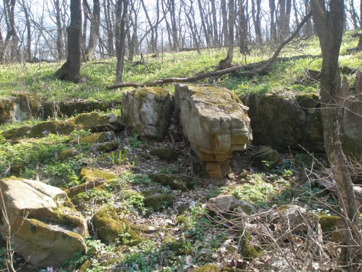 Зелений Гай з panoramio.com - Зелений Гай