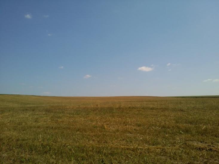 Кошляки з panoramio.com - Кошляки