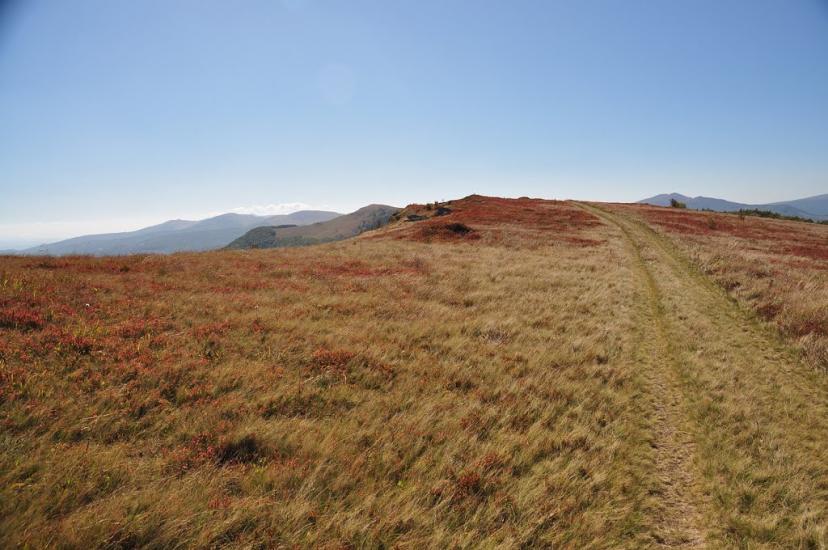 Гусний з panoramio.com - Гусний