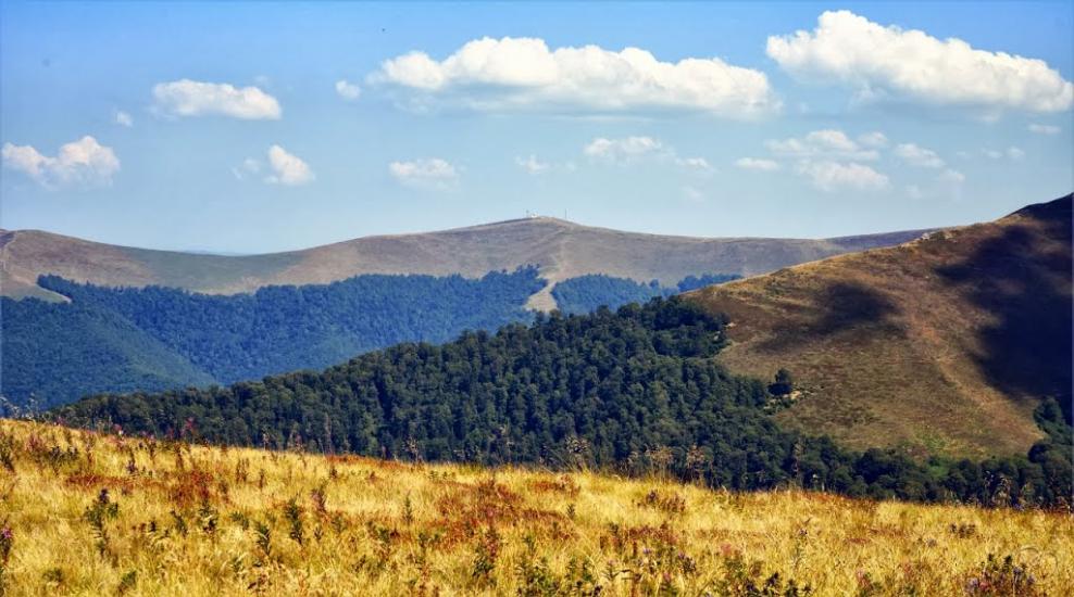Вовчий з panoramio.com - Волчий
