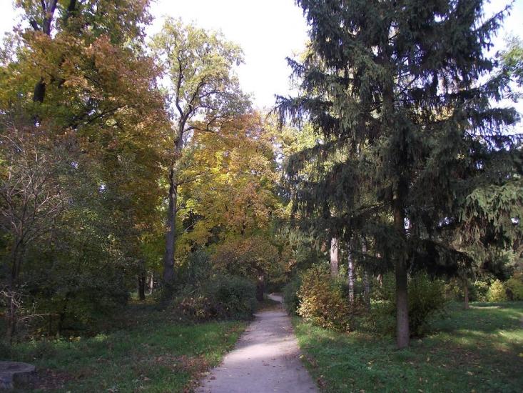 Городище з panoramio.com - Городище