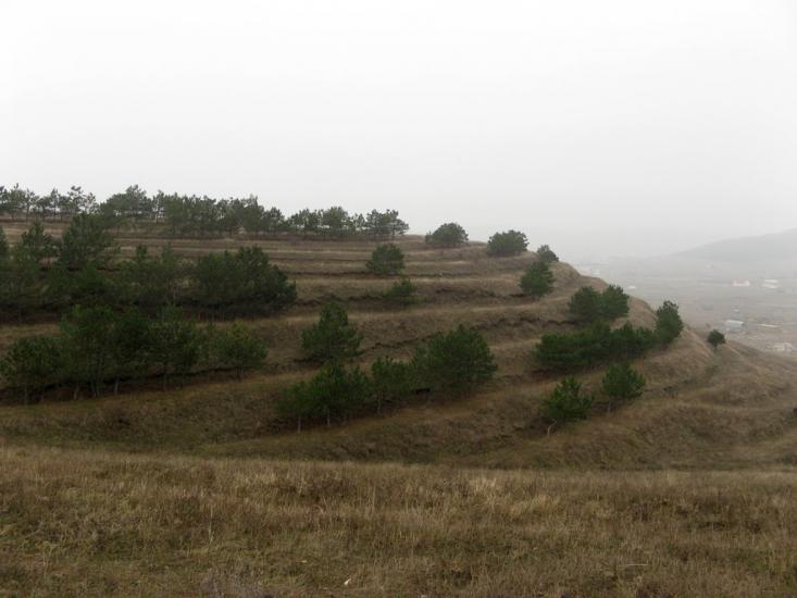 Строгонівка з panoramio.com - Строгонівка