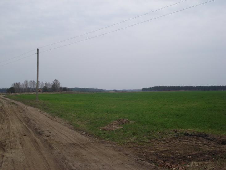 Ниговищі з panoramio.com - Ниговищи