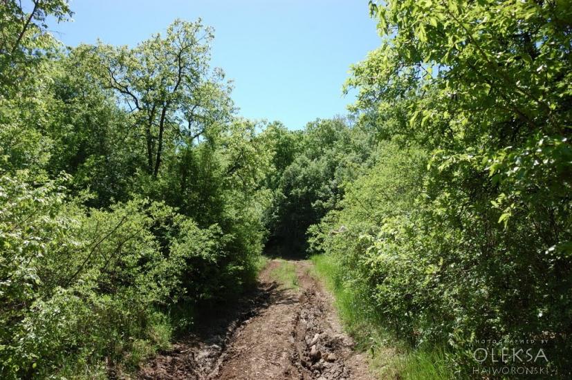 Долинне з panoramio.com - Dolynne