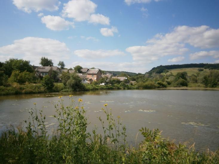 Розділ з panoramio.com - Роздол