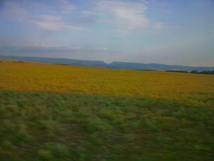 Сирень з panoramio.com - Сирень