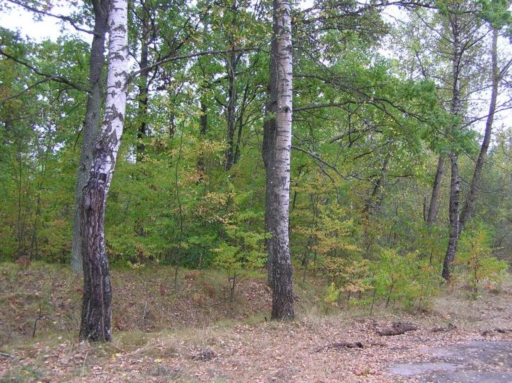 Горщик з panoramio.com - Горщик