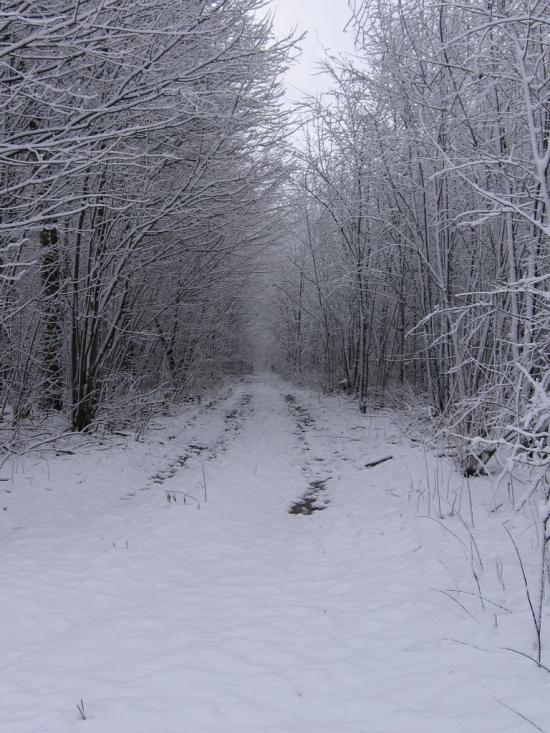 Іволжанське з panoramio.com - Иволжанское