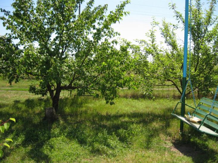 Донець з panoramio.com - Донец