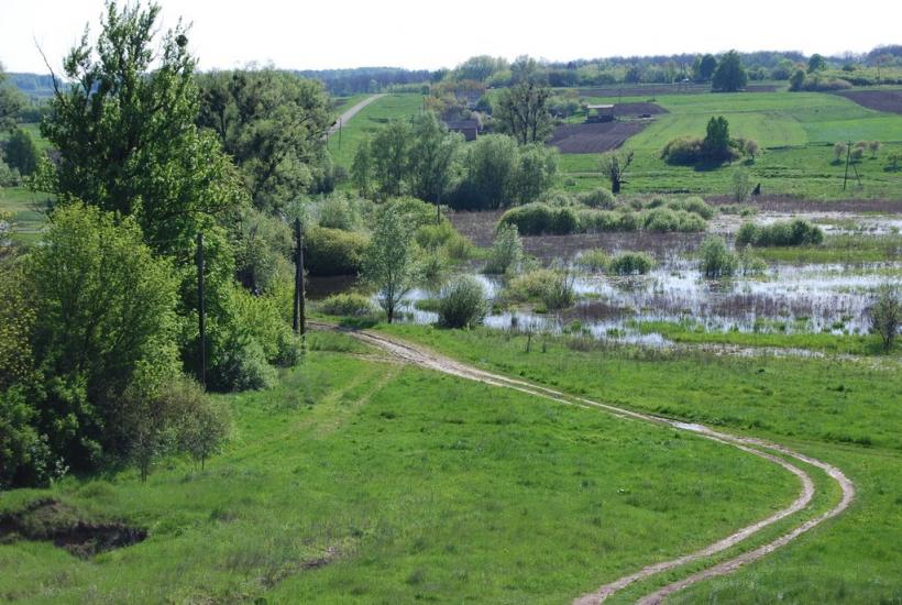 Безруки з panoramio.com - Безруки