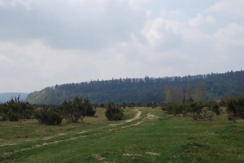 Фітьків з panoramio.com - Фітьків