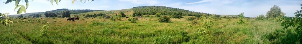 Новоукраїнка з panoramio.com - Новоукраїнка