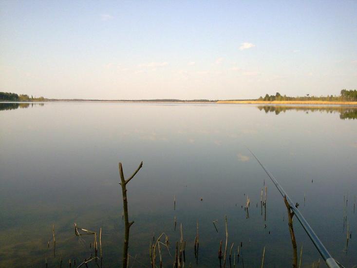 Ровжі з panoramio.com - Ровжи
