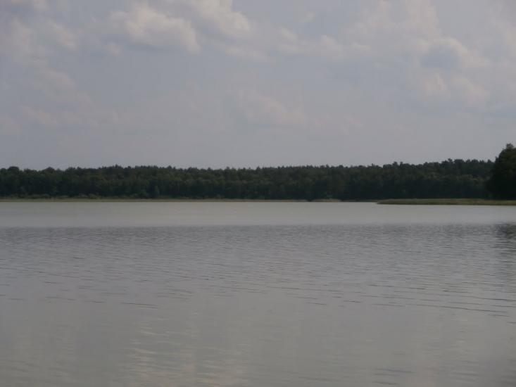 Ниговищі з panoramio.com - Ниговищи
