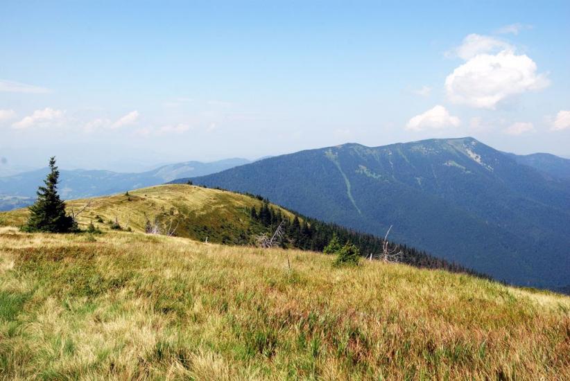 Заверхня Кичера з panoramio.com - Заверхняя Кичера
