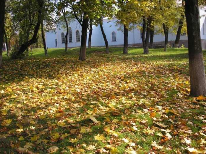 Вільшанка з panoramio.com - Ольшанка