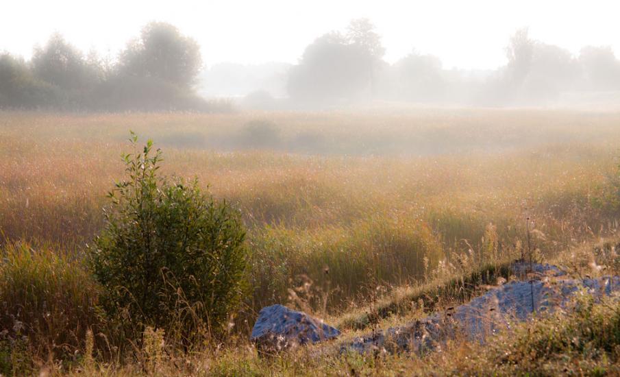Бахмач з panoramio.com - Bakhmach