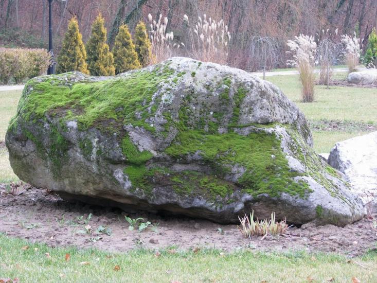 Нижнє Солотвино з panoramio.com - Нижнее Солотвино