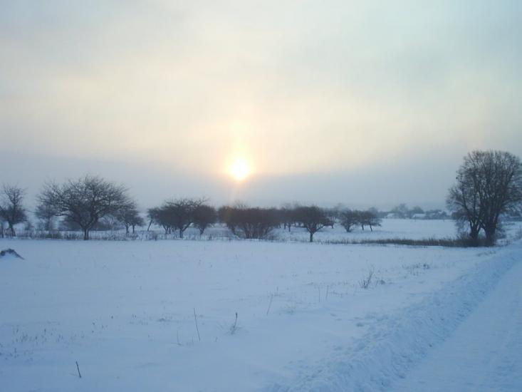 Українка з panoramio.com - Українка