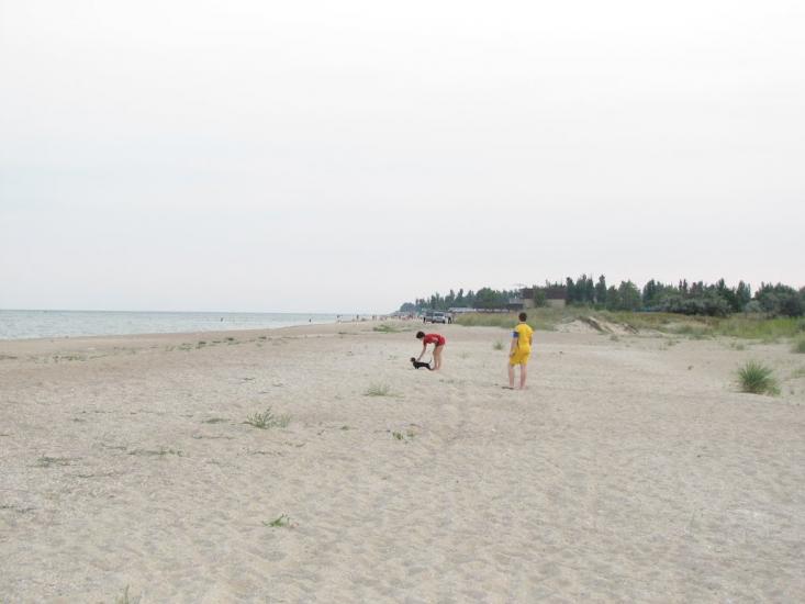 Мелекине з panoramio.com - Мелекино