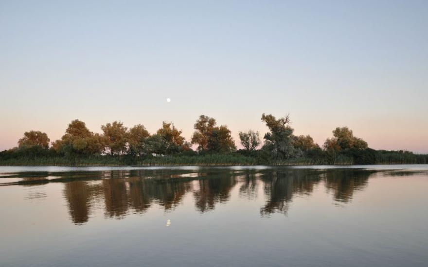 Кізомис з panoramio.com - Kizomys