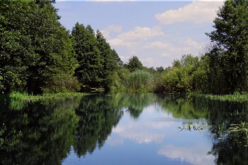 Бучин з panoramio.com - Buchyn
