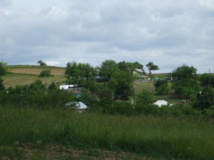 Могилівка з panoramio.com - Могилевка