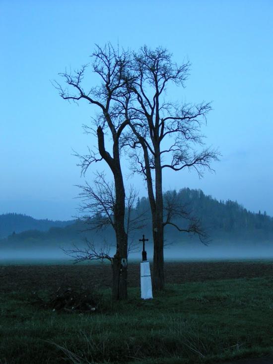 Шандровець з panoramio.com - Шандровець