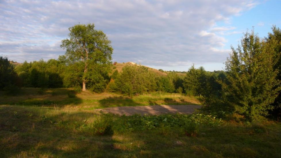 Великий Перевіз з panoramio.com - Великий Перевоз