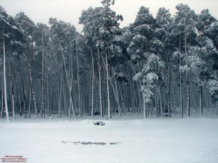 Карасиха з panoramio.com - Карасиха