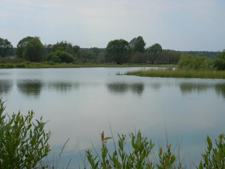 Хрипівка з panoramio.com - Хрипівка