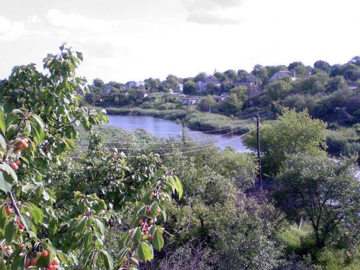 Созонівка з panoramio.com - Созоновка