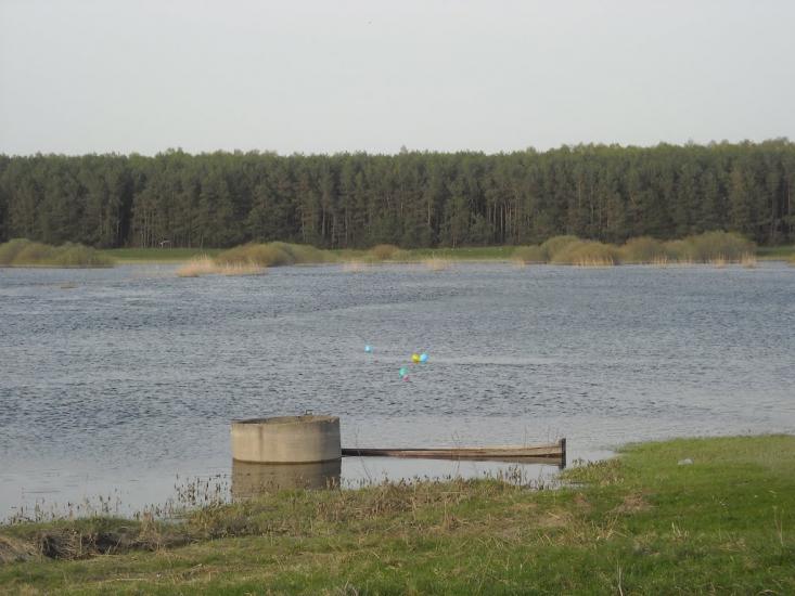 Більче з panoramio.com - Бильче