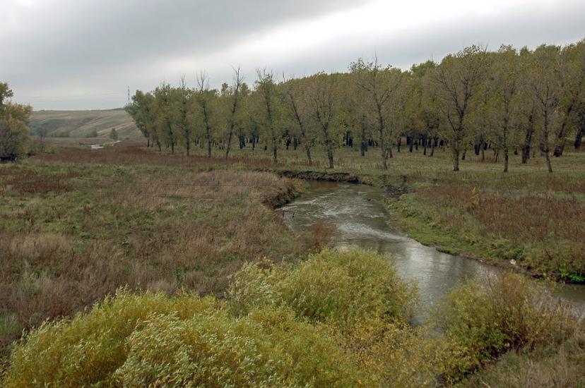 Кременівка з panoramio.com - Кременівка