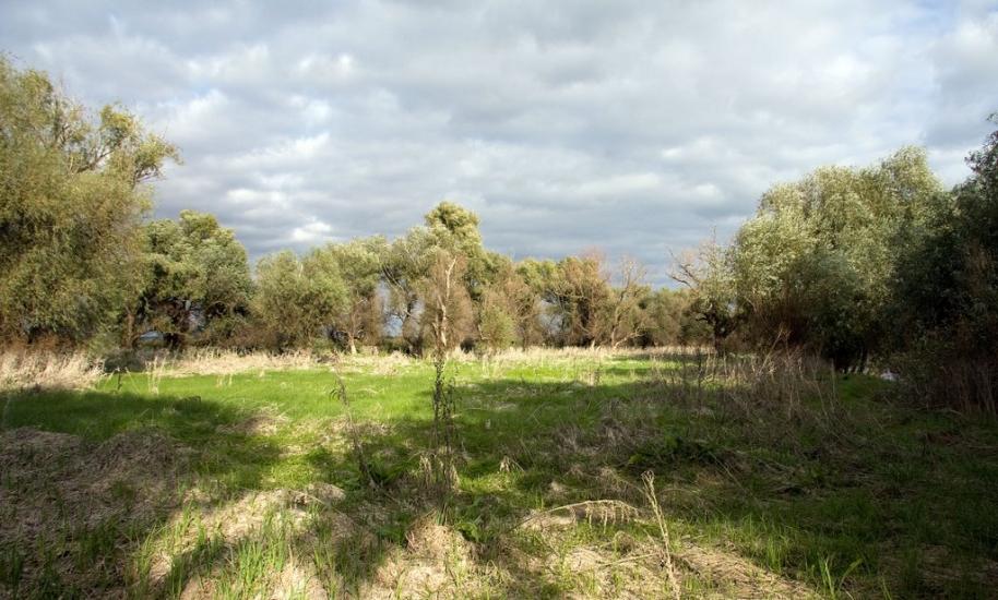 Яськи з panoramio.com - Jasky