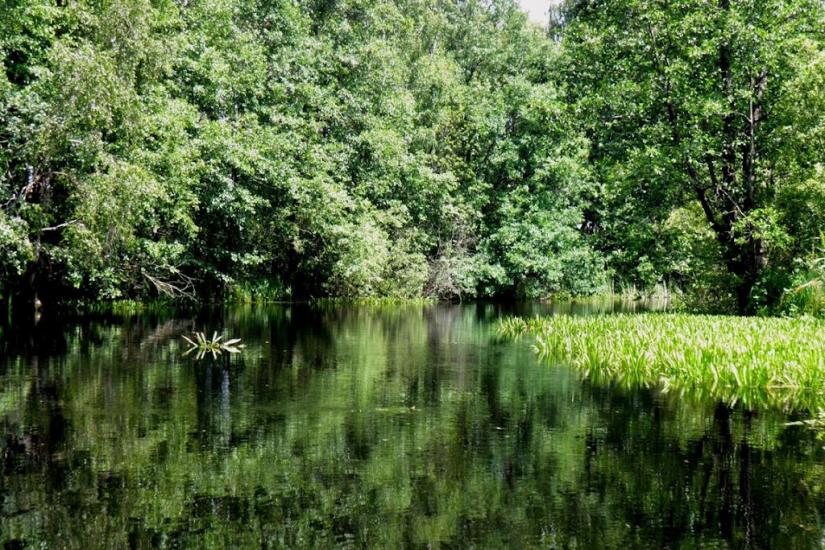 Бучин з panoramio.com - Бучин