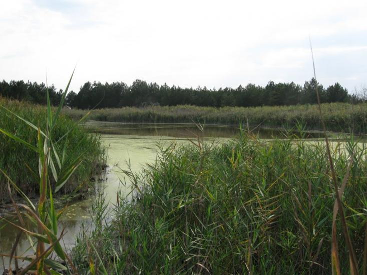 Раденськ з panoramio.com - Radensk
