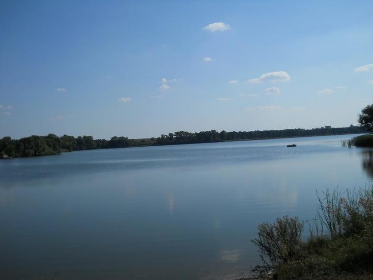 Кошляки з panoramio.com - Кошляки