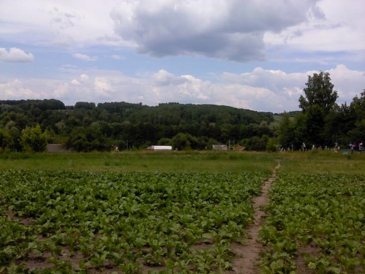 Осьмаки з panoramio.com - Осьмаки