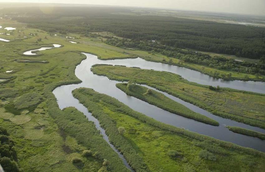 Задонецьке з panoramio.com - Zadonetske