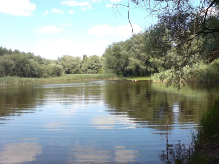 Зубове з panoramio.com - Зубово