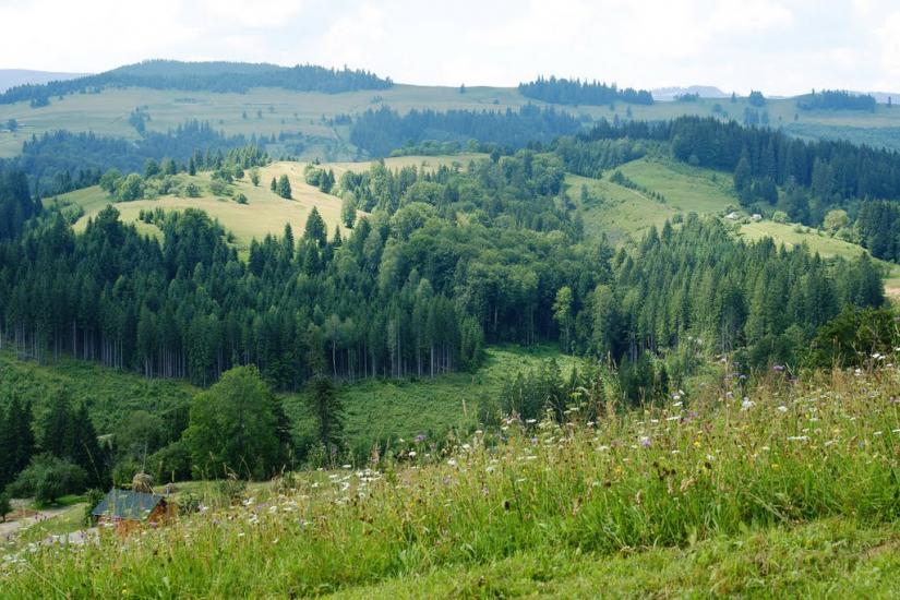 Сергії з panoramio.com - Сергии