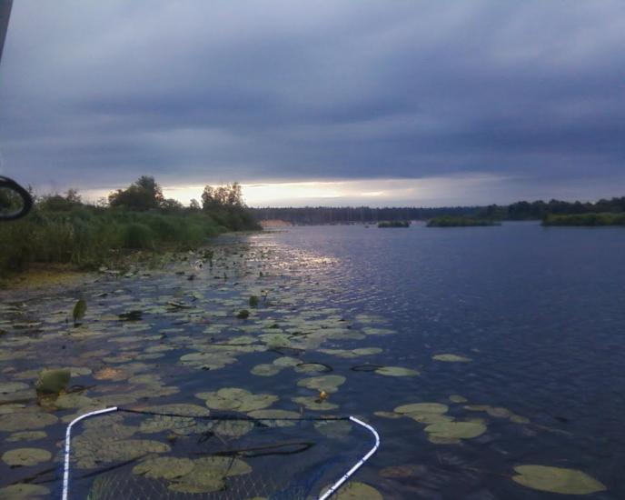 Суслівка з panoramio.com - Суслівка