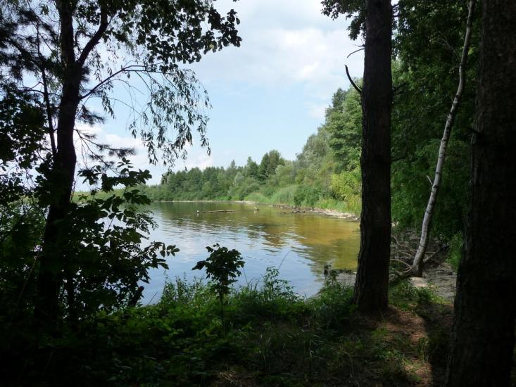 Ровжі з panoramio.com - Ровжи