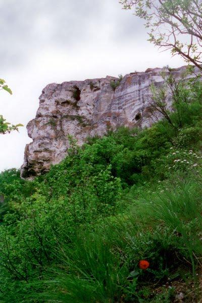 Каштанівка з panoramio.com - Каштановка