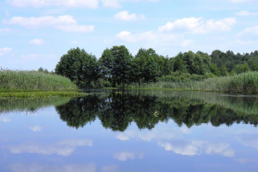 Бучин з panoramio.com - Бучин