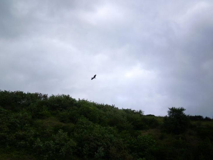 Дорошівці з panoramio.com - Дорошовцы