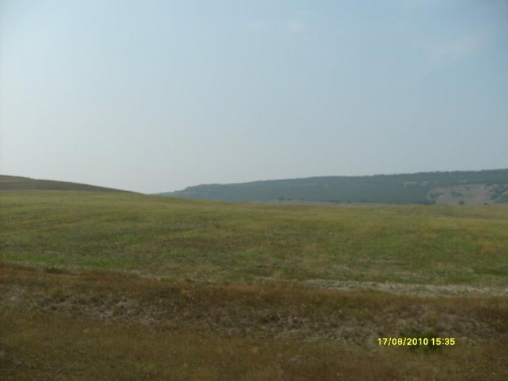 Сирень з panoramio.com - Сирень